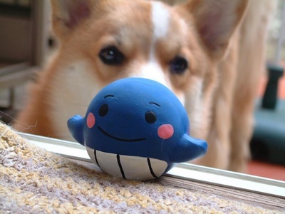 image.jpg